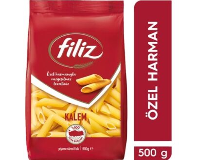 filiz-kalem-makarna-500-gr-b535