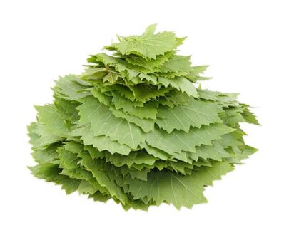 Tokat erbaa asma yapragi taze kg