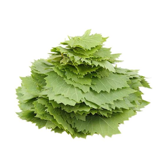 Tokat erbaa asma yapragi taze kg